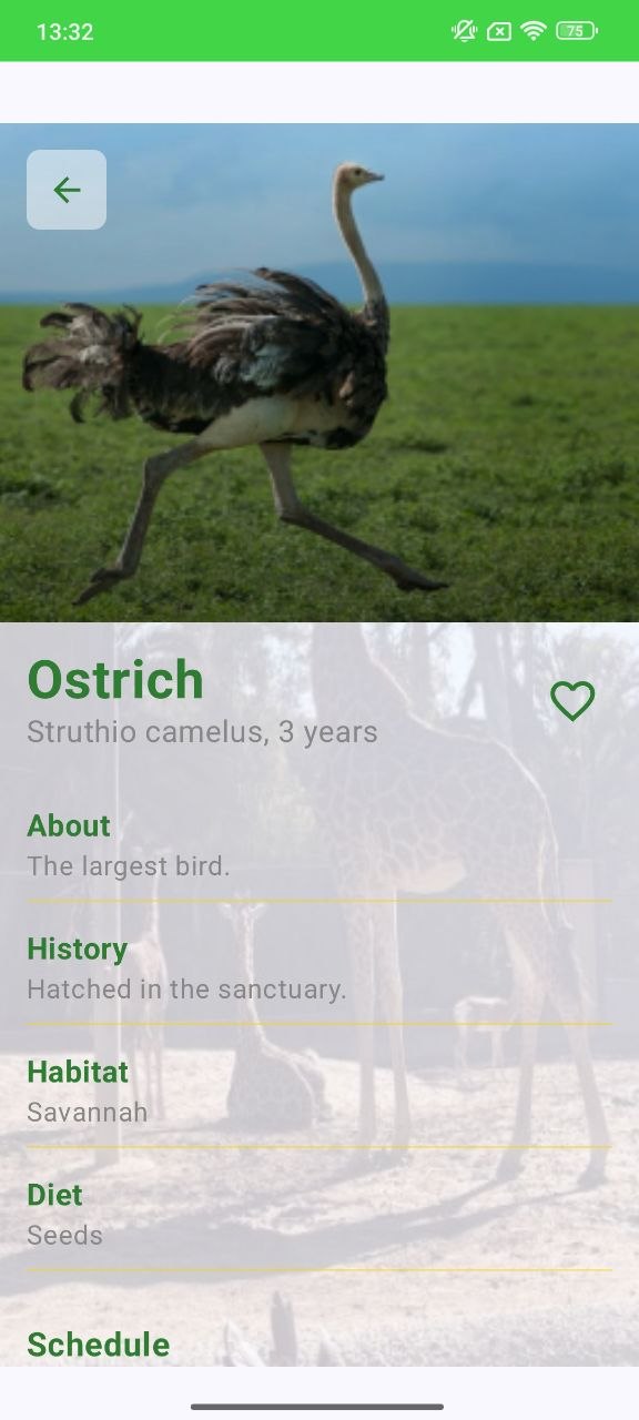 Animal details screen